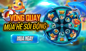 VÒNG QUAY MÙA HÈ SÔI ĐỘNG